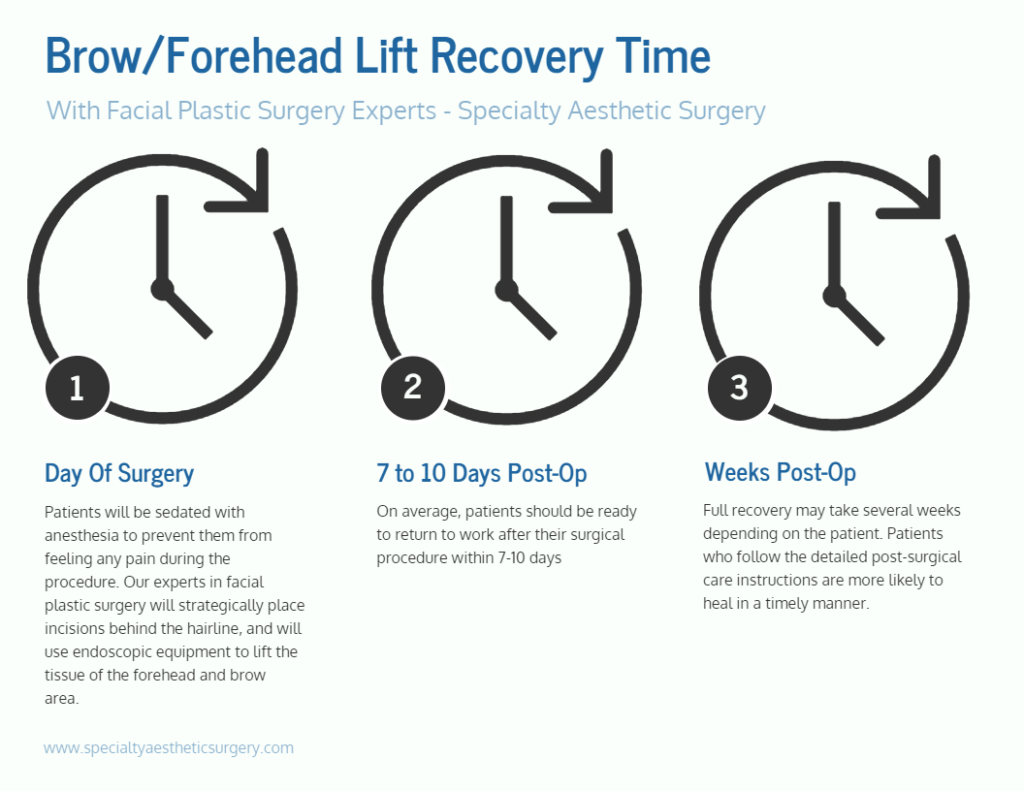 Brow Lift Recovery Time Manhattan